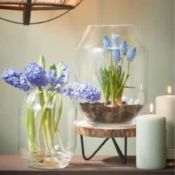 Mica Decorations Dali Vaas Ø 25 Cm -Huisdecoratie 9607497